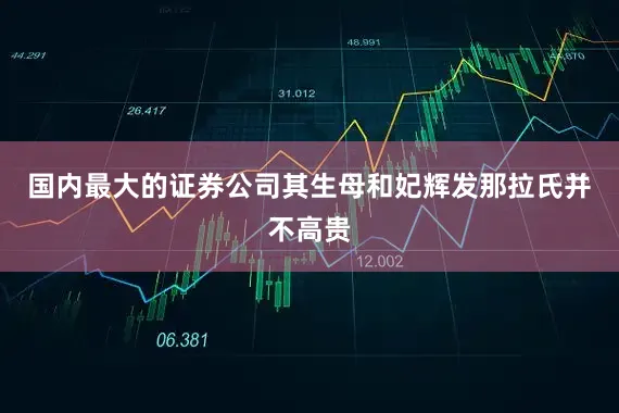 国内最大的证券公司其生母和妃辉发那拉氏并不高贵