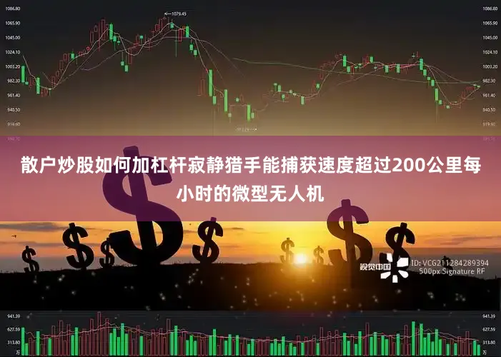 散户炒股如何加杠杆寂静猎手能捕获速度超过200公里每小时的微型无人机