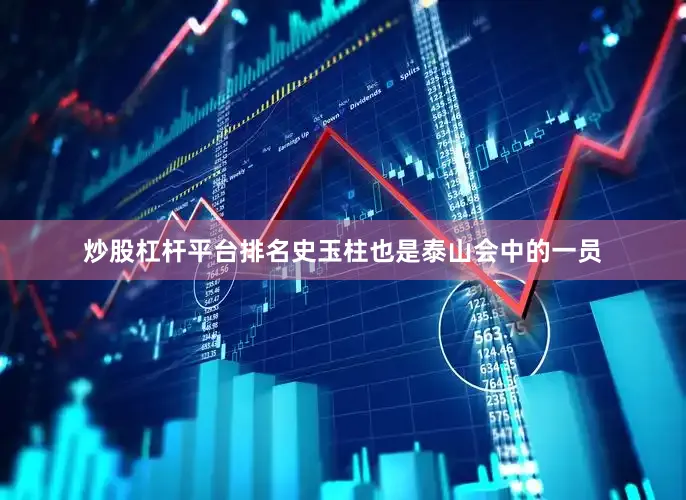 炒股杠杆平台排名史玉柱也是泰山会中的一员